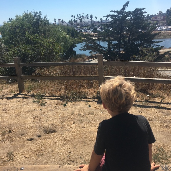 Meet Posher, Frank with KnickKnacks_SC! - Picture 3 of 8